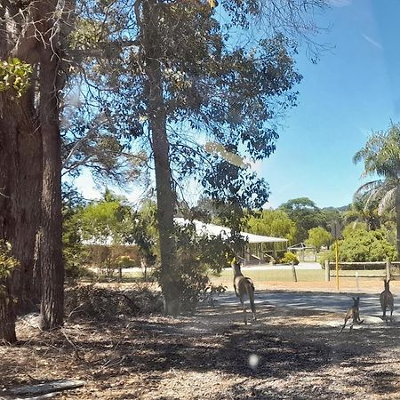 Mount Barker 101 Oatlands汽车旅馆 外观 照片